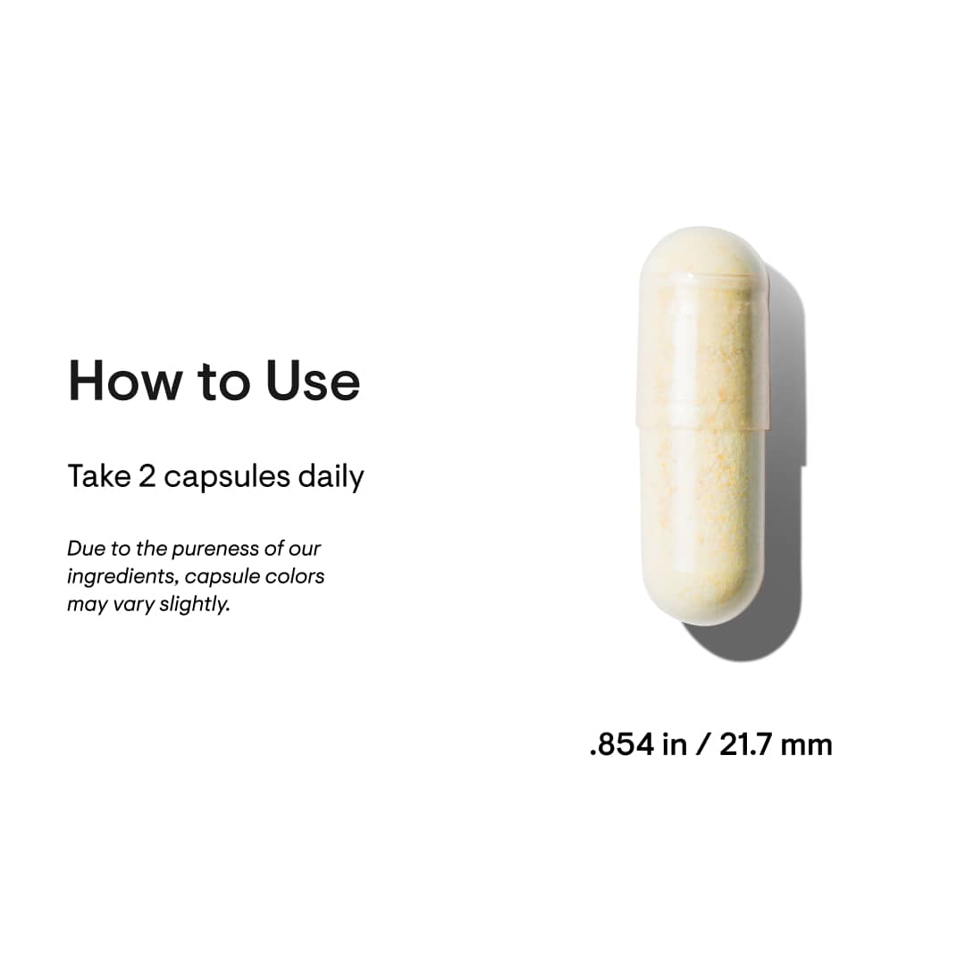 Basic Nutrients 2/Day - Comprehensive Daily Multivitamin, 60 Capsules