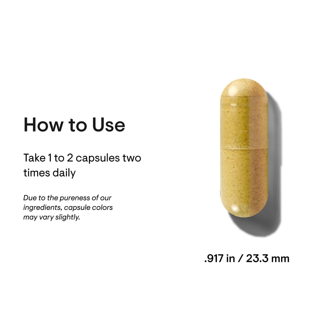 Berberine  - 60 Capsules