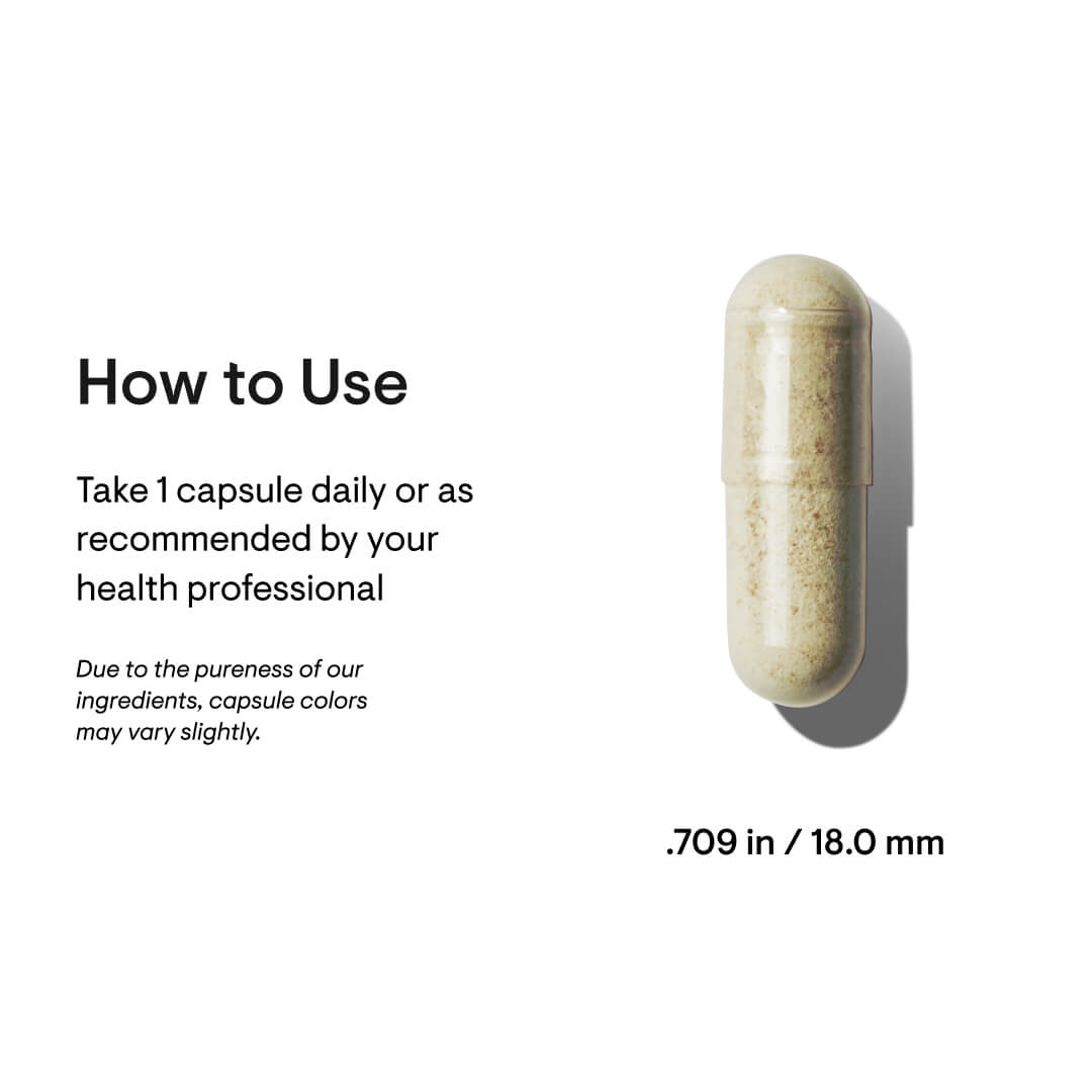 Iron Bisglycinate - 60 Capsules