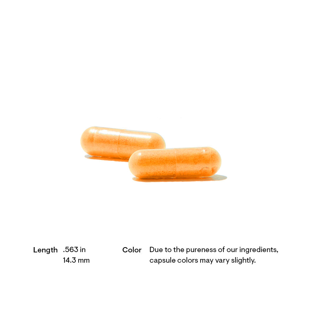 Riboflavin 5'-Phosphate - 60 Capsules