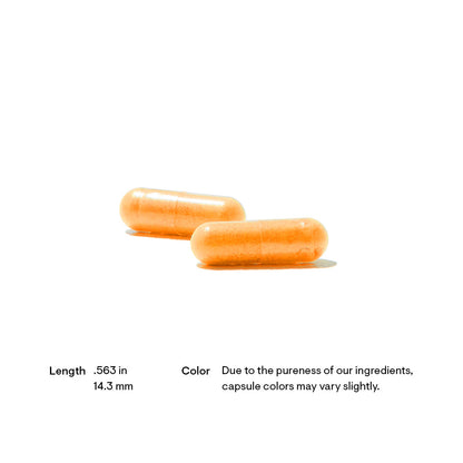 Riboflavin 5'-Phosphate - 60 Capsules