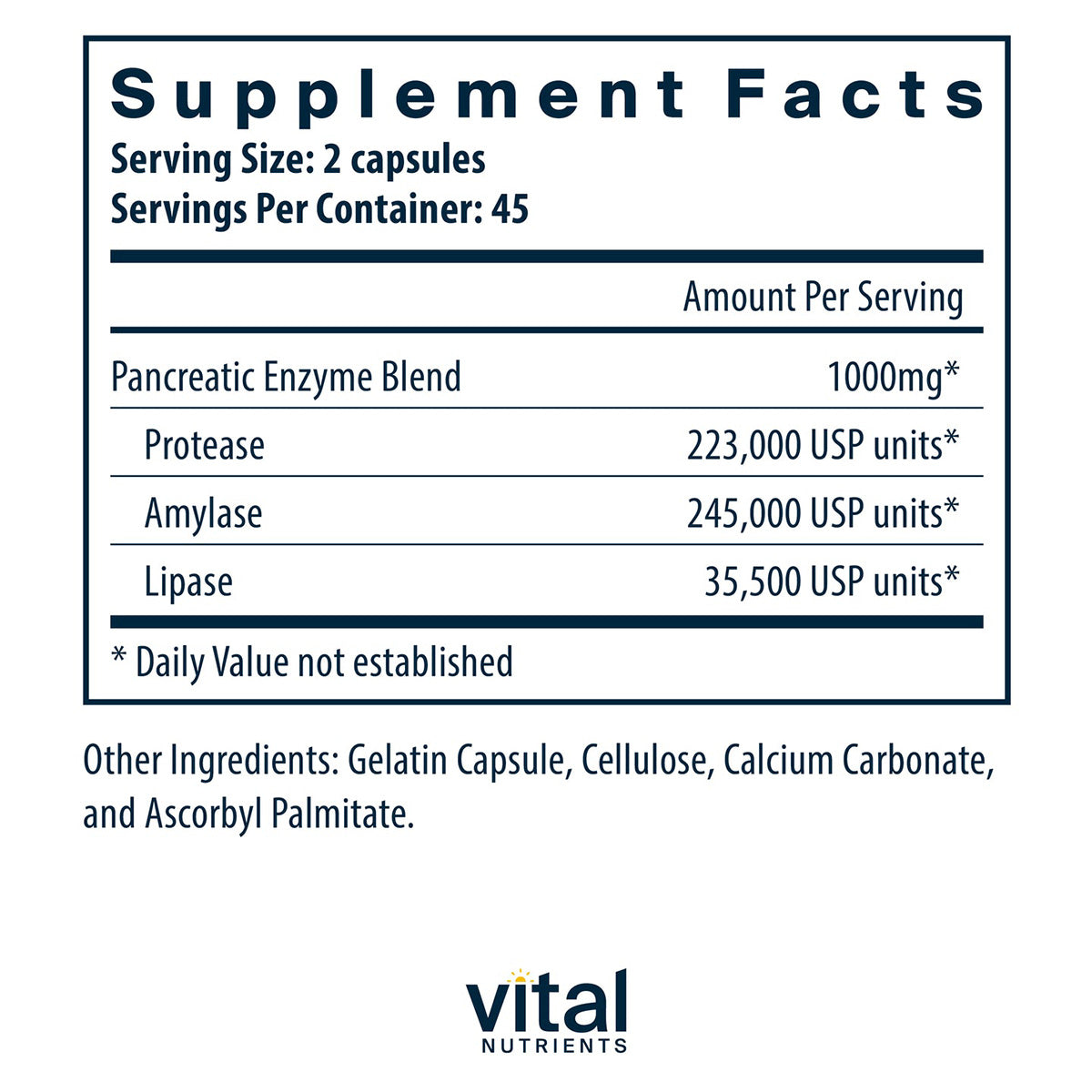 Pancreatic Enzymes 1,000 mg - 90 Capsules