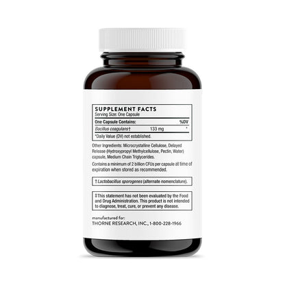 Bacillus Coagulans