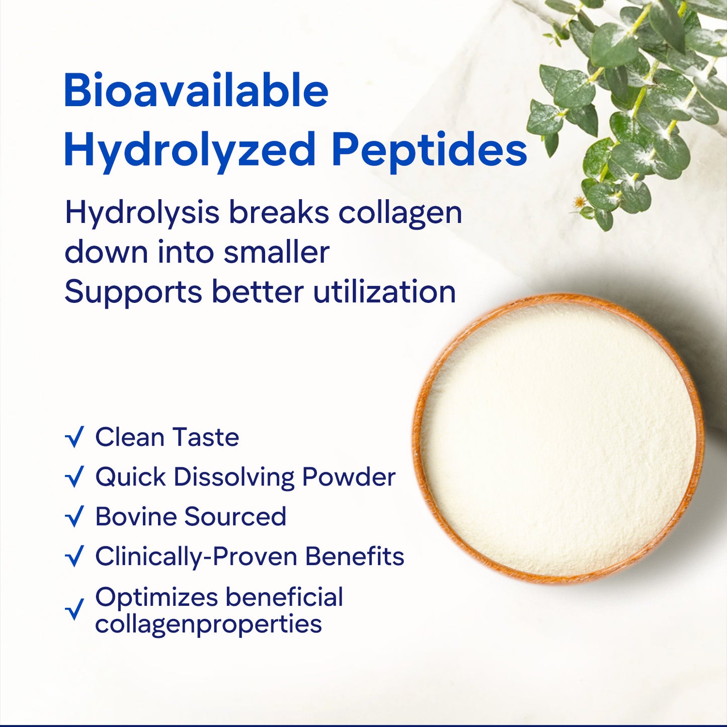 Multi Collagen Peptides Powder for Whole Body - 502.5g