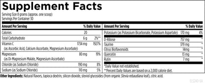 Electrolyte Synergy™-240 g (8.5 oz) powder Lemon-Orange